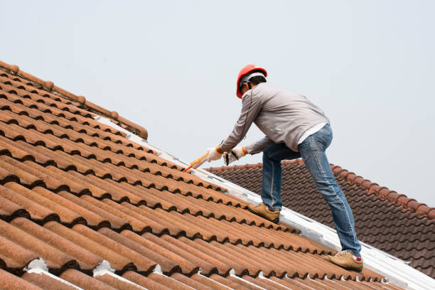 Best Roof Coating and Sealing  in Pine Valley, CA